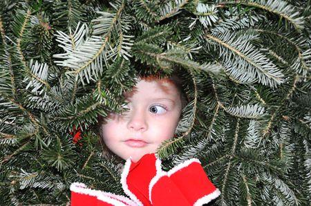 child in Christmas tree