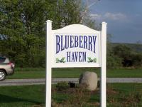 Blueberry Haven