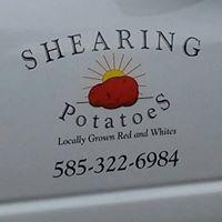 Shearing Potatoes